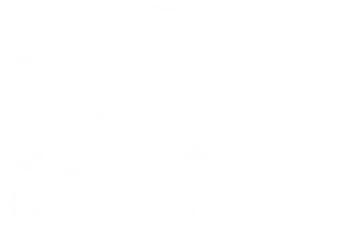 はじめての愛犬・愛猫とお泊まり旅