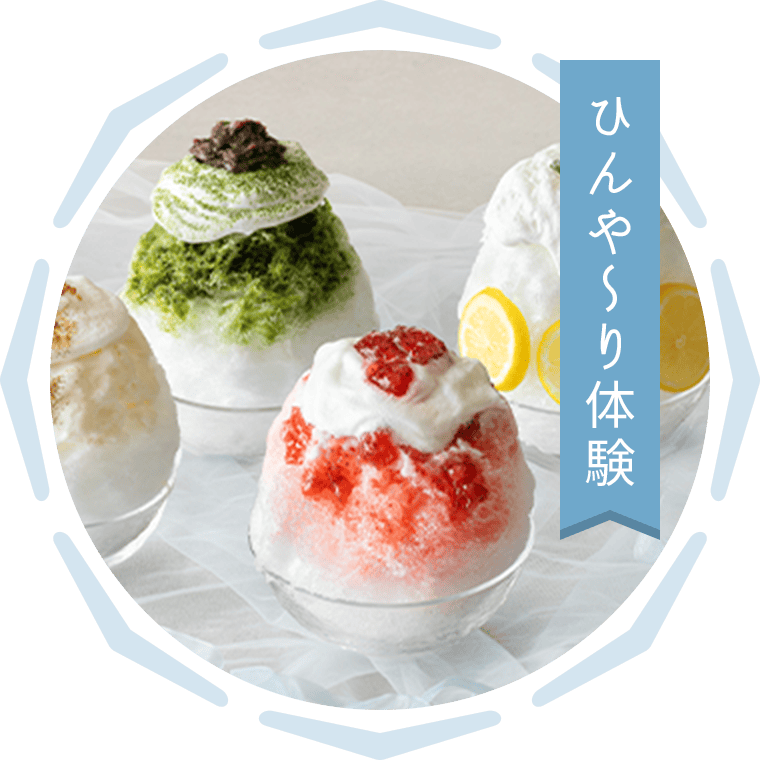 ひんや~り体験