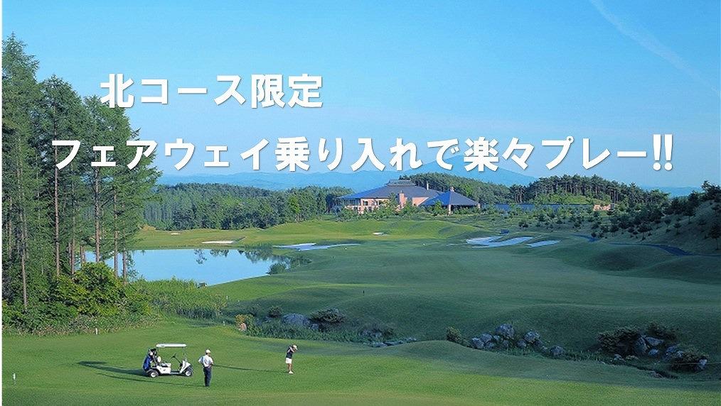 フェアウェイ乗り入れで快適ゴルフ