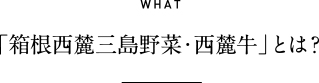 WHAT 「箱根西麓三島野菜・西麓牛」とは？