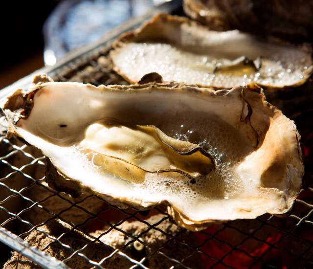 img food4