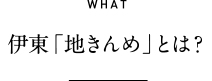 WHAT 伊東地きんめとは?