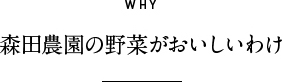 森田農園の野菜がおいしいわけ