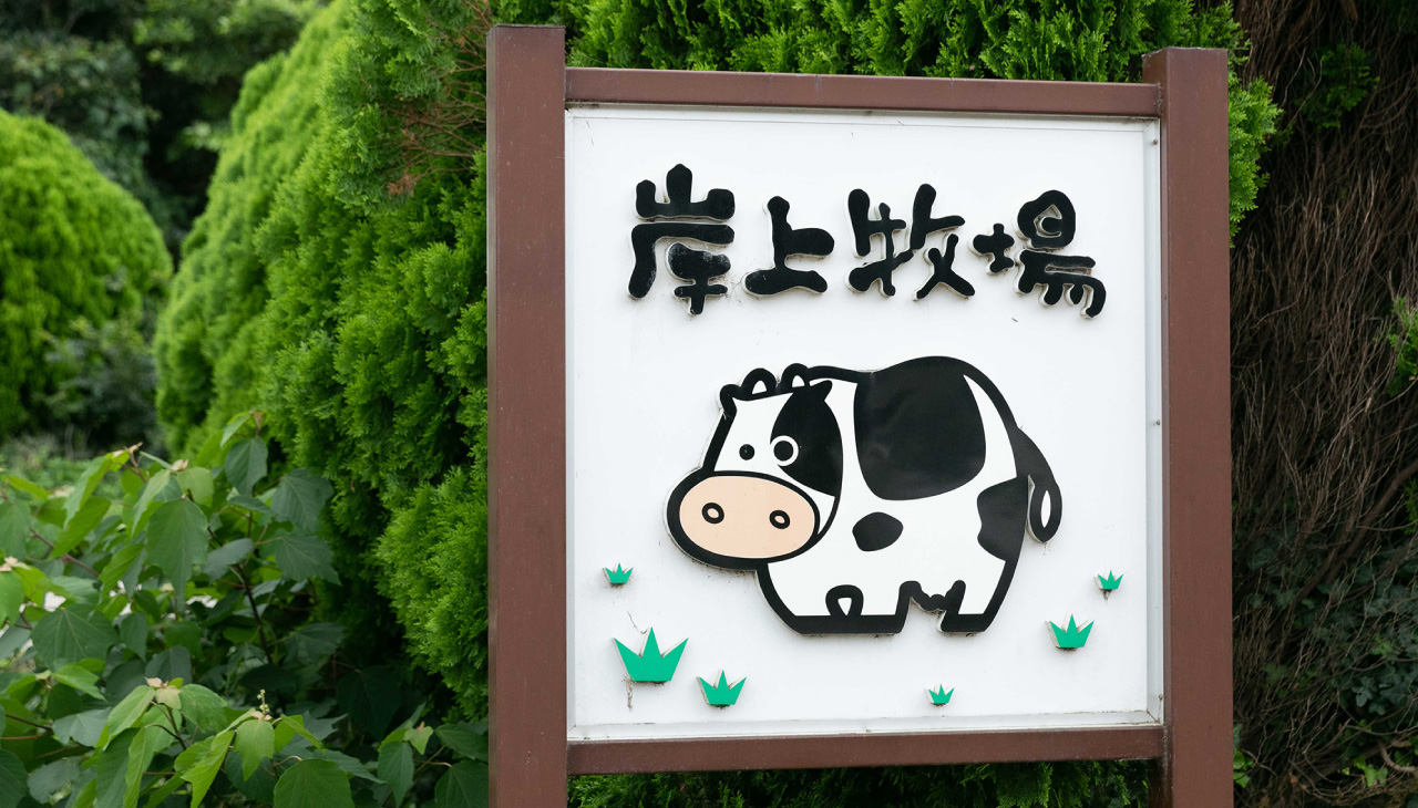 locality gourmet