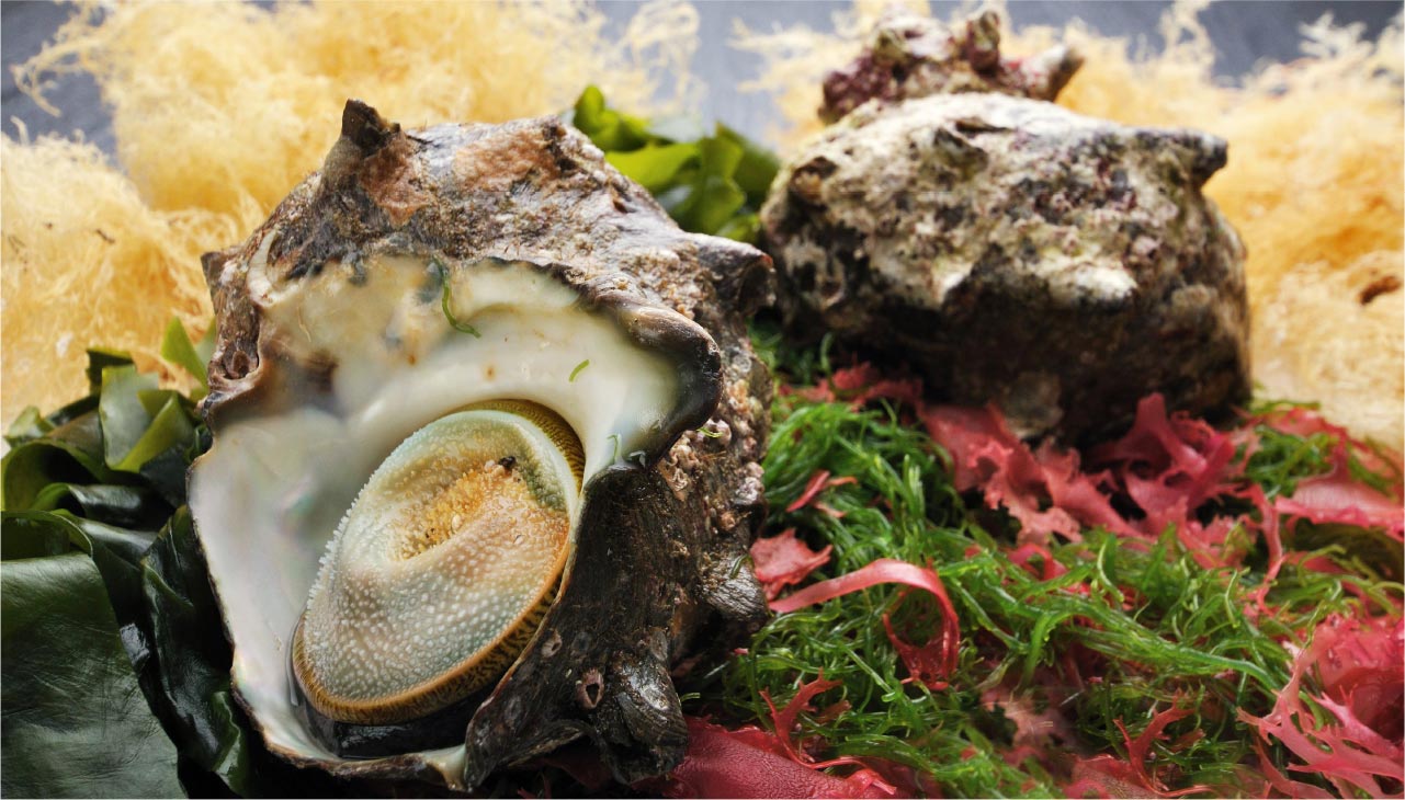 locality gourmet