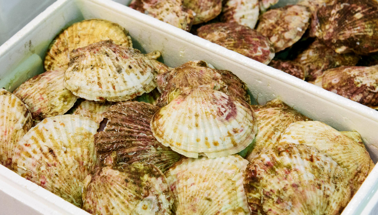 locality gourmet
