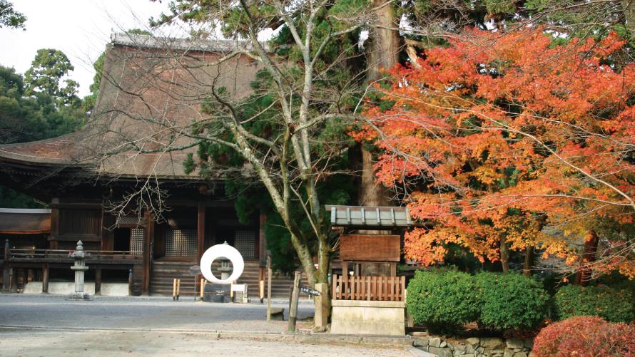 三井寺・近江神宮・日吉大社・坂本ケーブル（送りのみ）