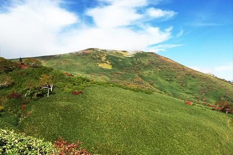 仙ノ倉山イメージ