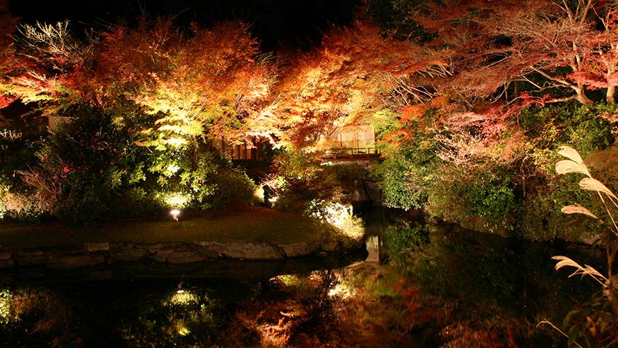自然豊かな京の奥座敷、秋の茶寮