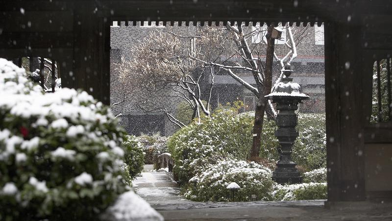 雪景色の日本庭園。