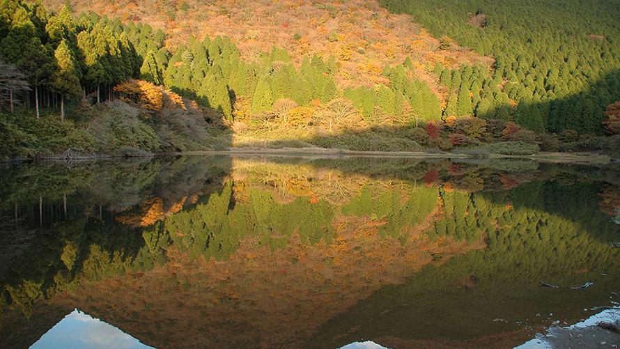 お玉ヶ池イメージ