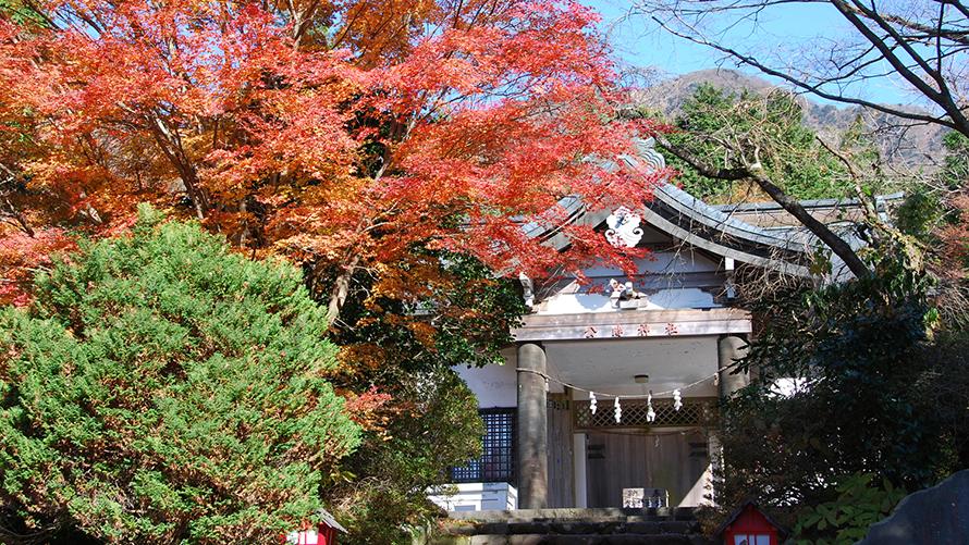 公時神社イメージ