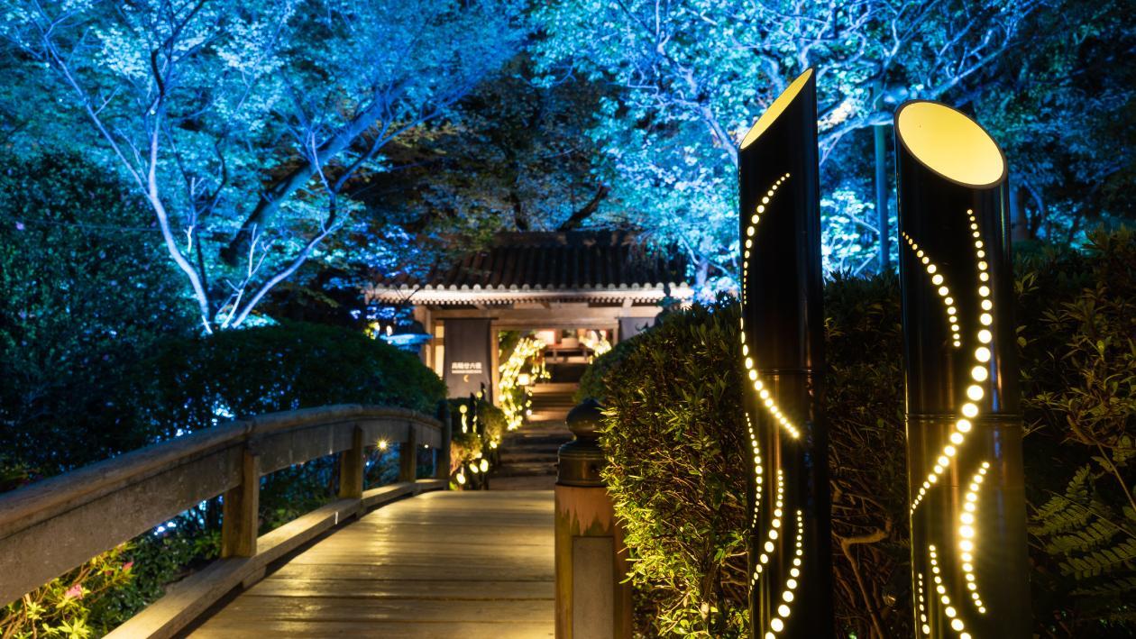 竹あかりのイルミネーションに包まれる日本庭園の橋。