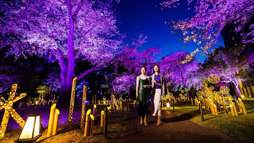 桜に囲まれた日本庭園と竹あかりのライトアップされた夜景を二人の女性客が散策している様子。