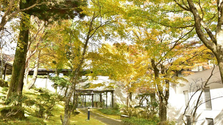 紅葉の中庭