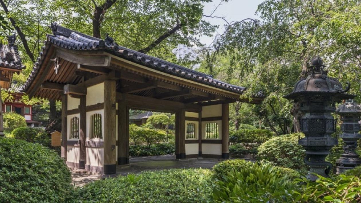 緑に囲まれた山門の風景。