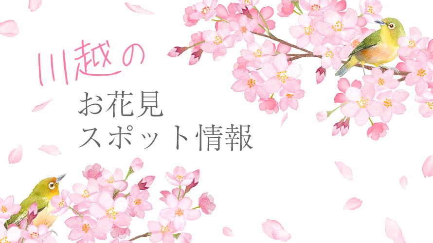 トップバナー
