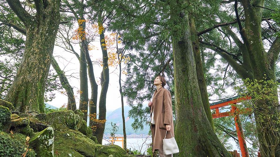 九頭龍神社へ参拝し、湖畔の自然や歴史を感じながらゆったり散策する特別なひととき。