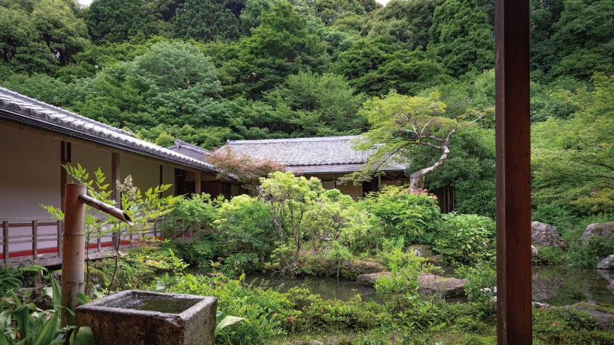 見どころその4：裏山の自然と調和する静謐な庭園
