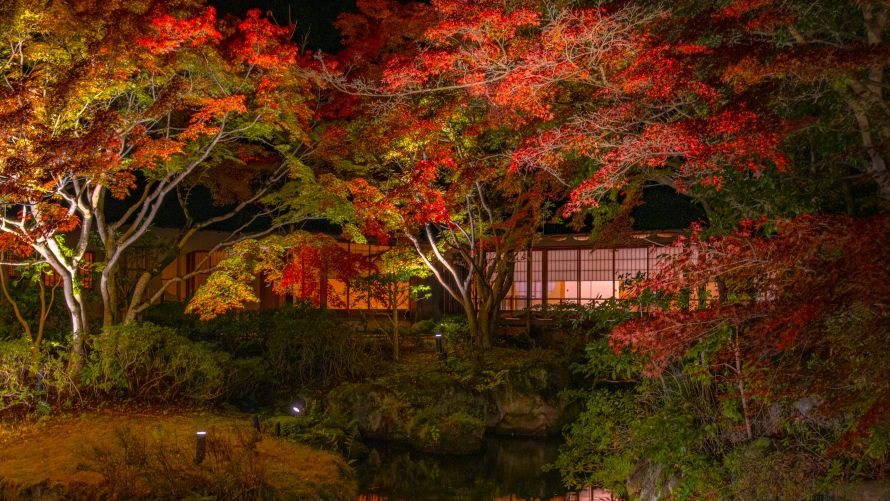 数寄屋造りならではの空間で、季節の移ろいを感じて。