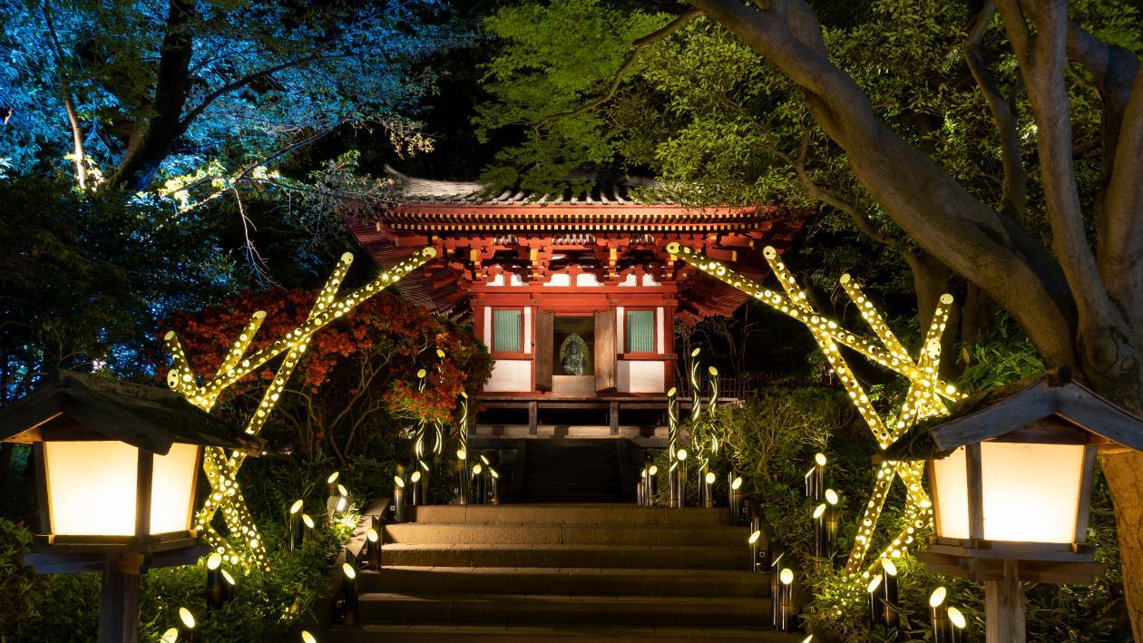 竹あかりに灯されている日本庭園の観音堂の夜景。