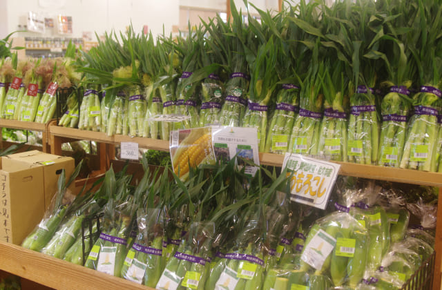 朝収穫した新鮮な野菜が大人気!軽井沢発地市庭