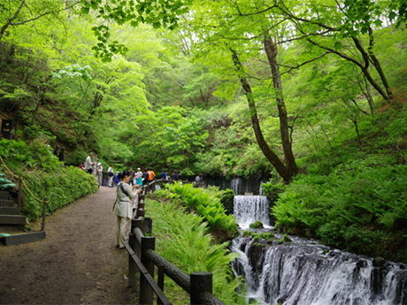 白糸の滝