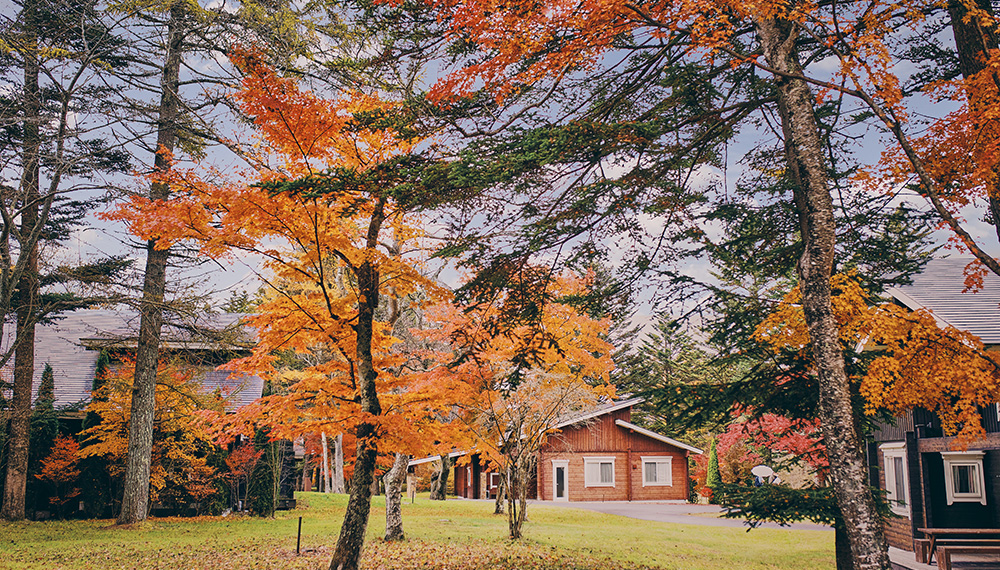 軽井沢の紅葉狩り
