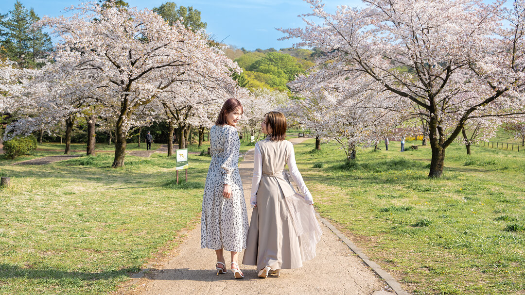 はなやぎ ちゃごこち 〜狭山茶と桜の春宿〜