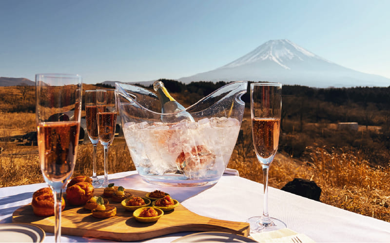 Mt. Fuji Winery Helicopter Tour