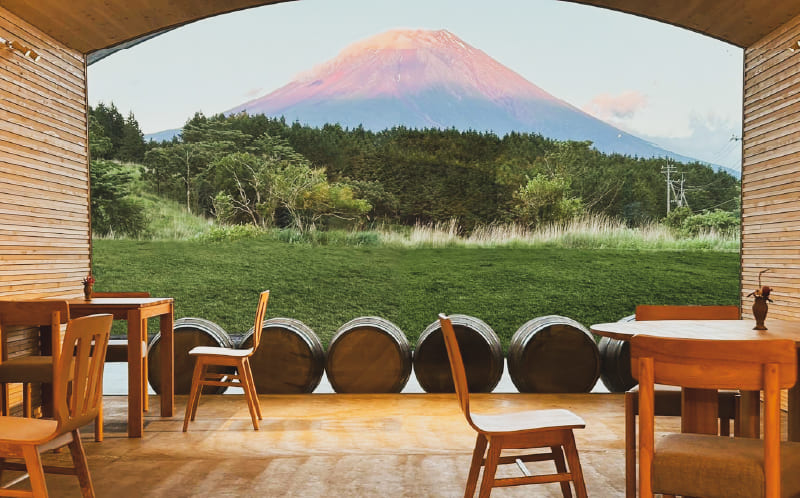Fujisan Winery Escape