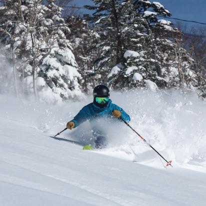 粉雪のスキーを楽しむ