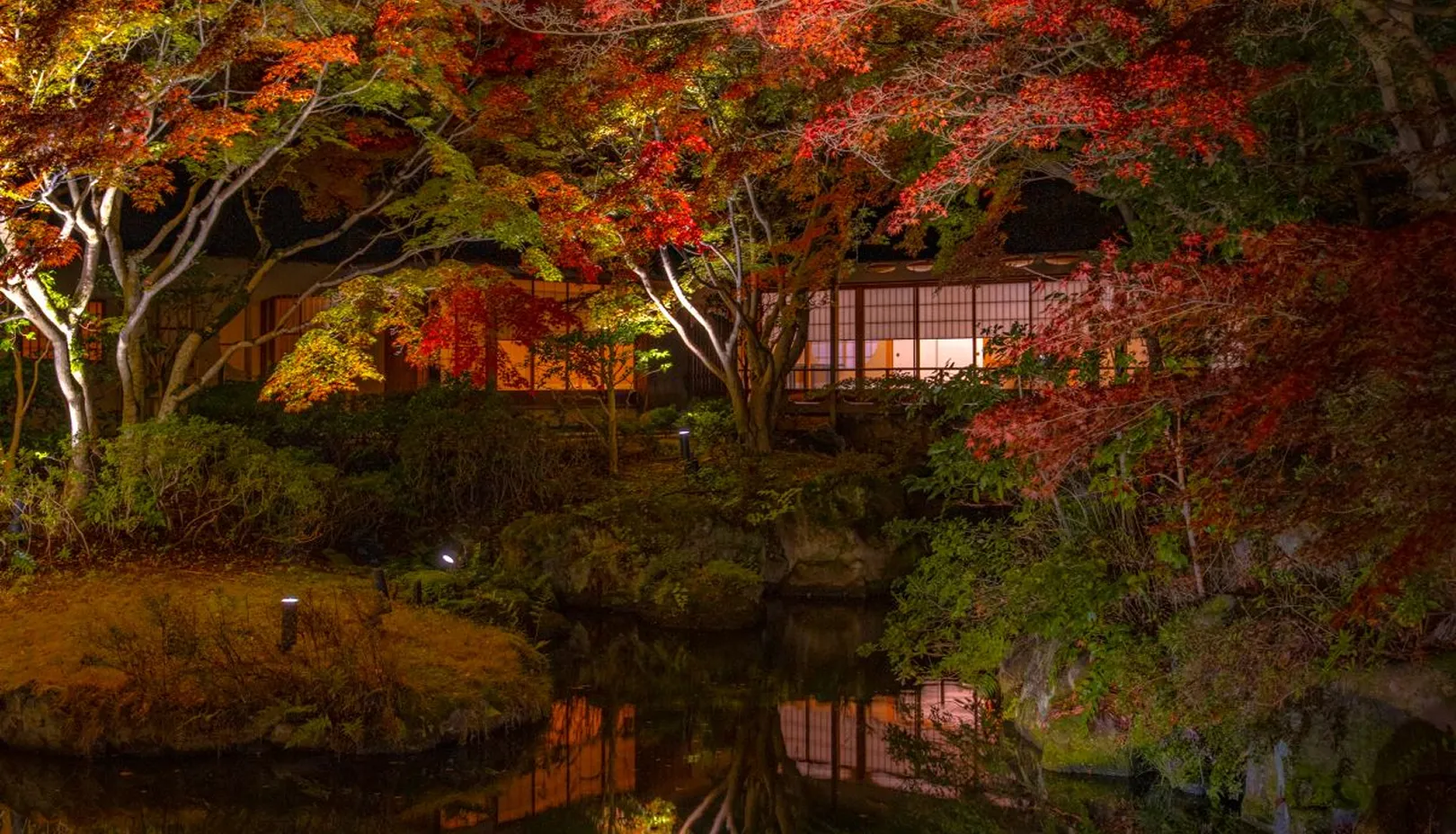 ライトアップされた夜の庭園と茶寮