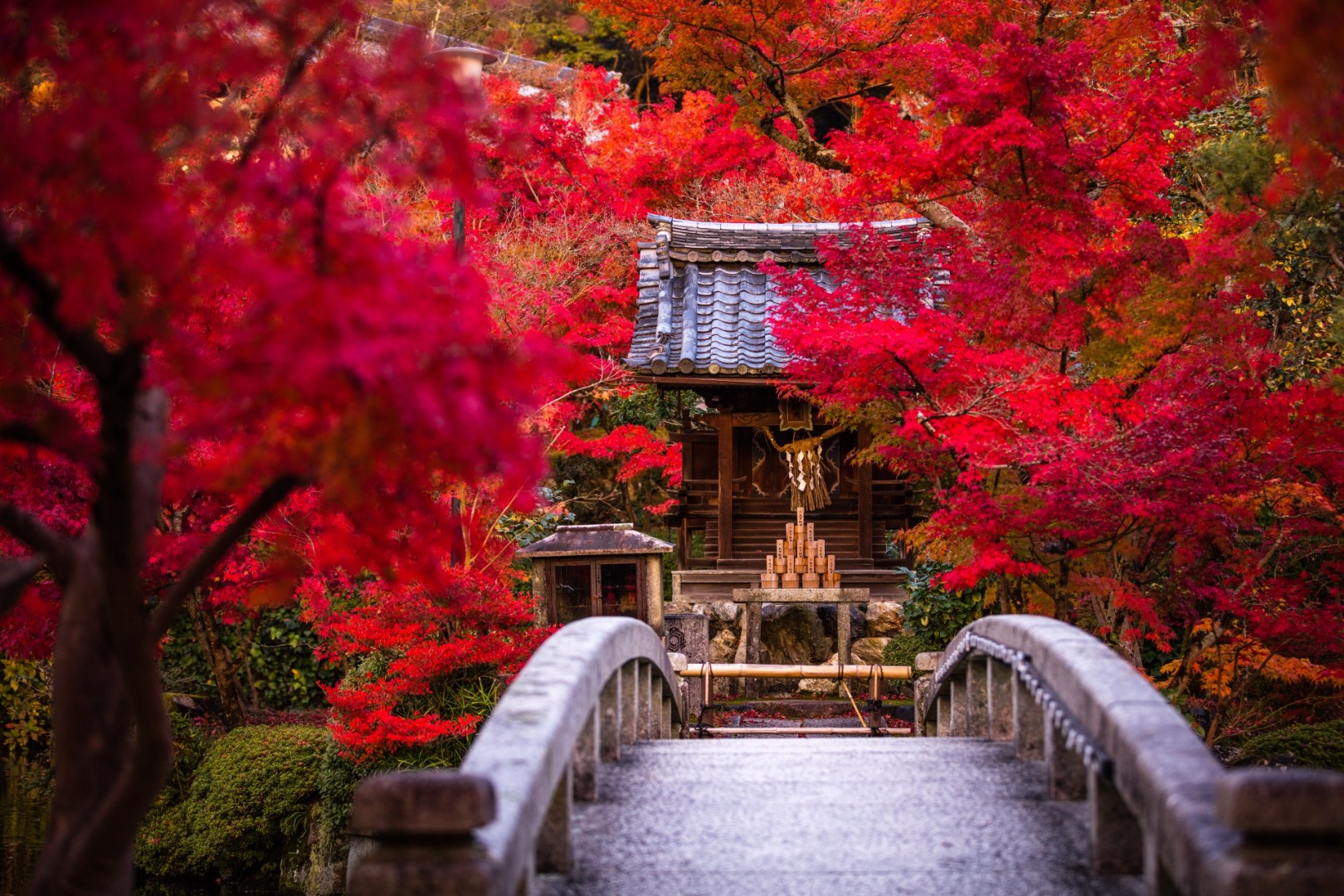 永観堂(禅林寺)