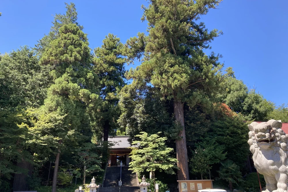 【埼玉・所沢市】中氷川神社