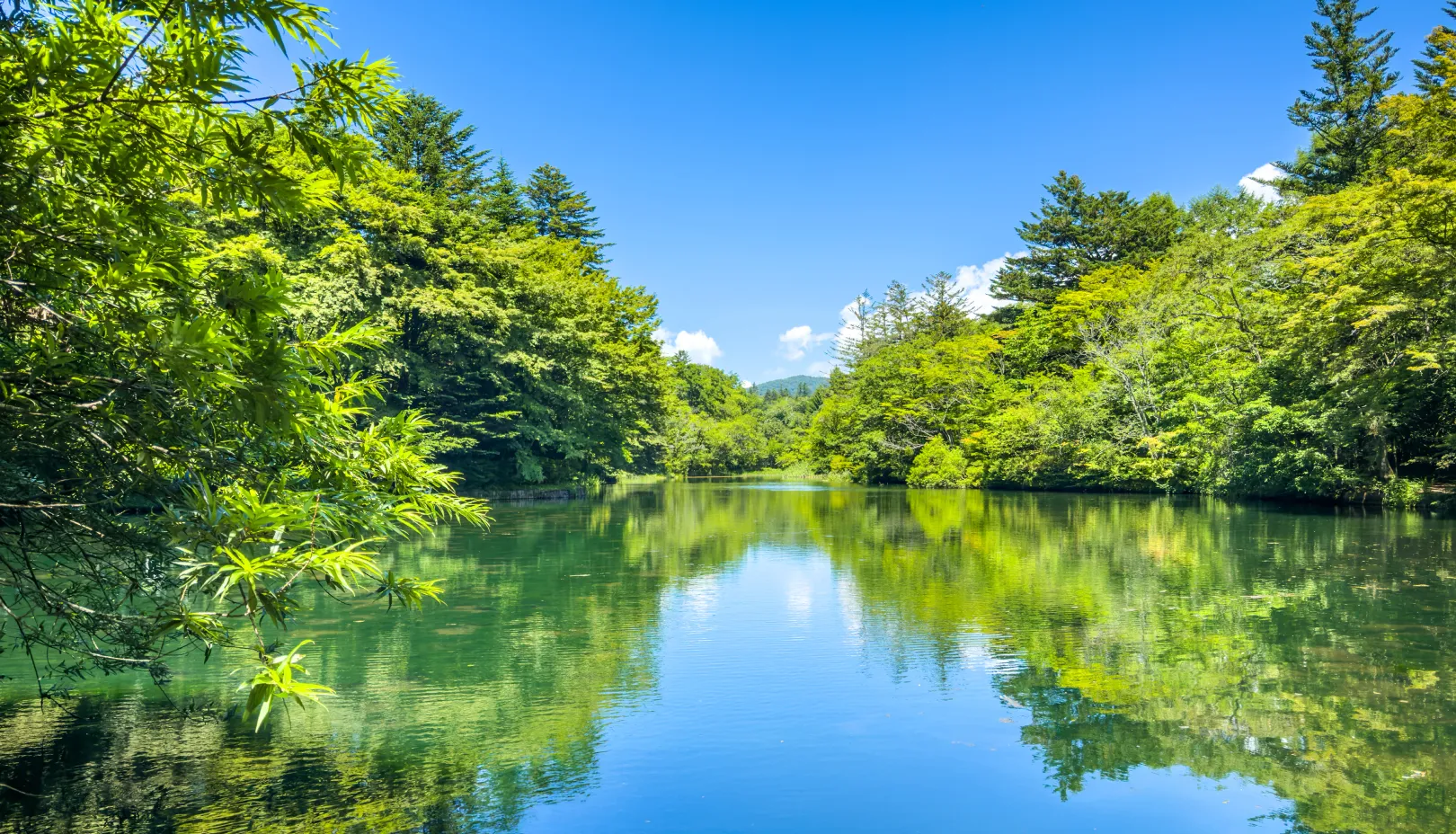 photoACより「真夏でも涼しげな雲場池」