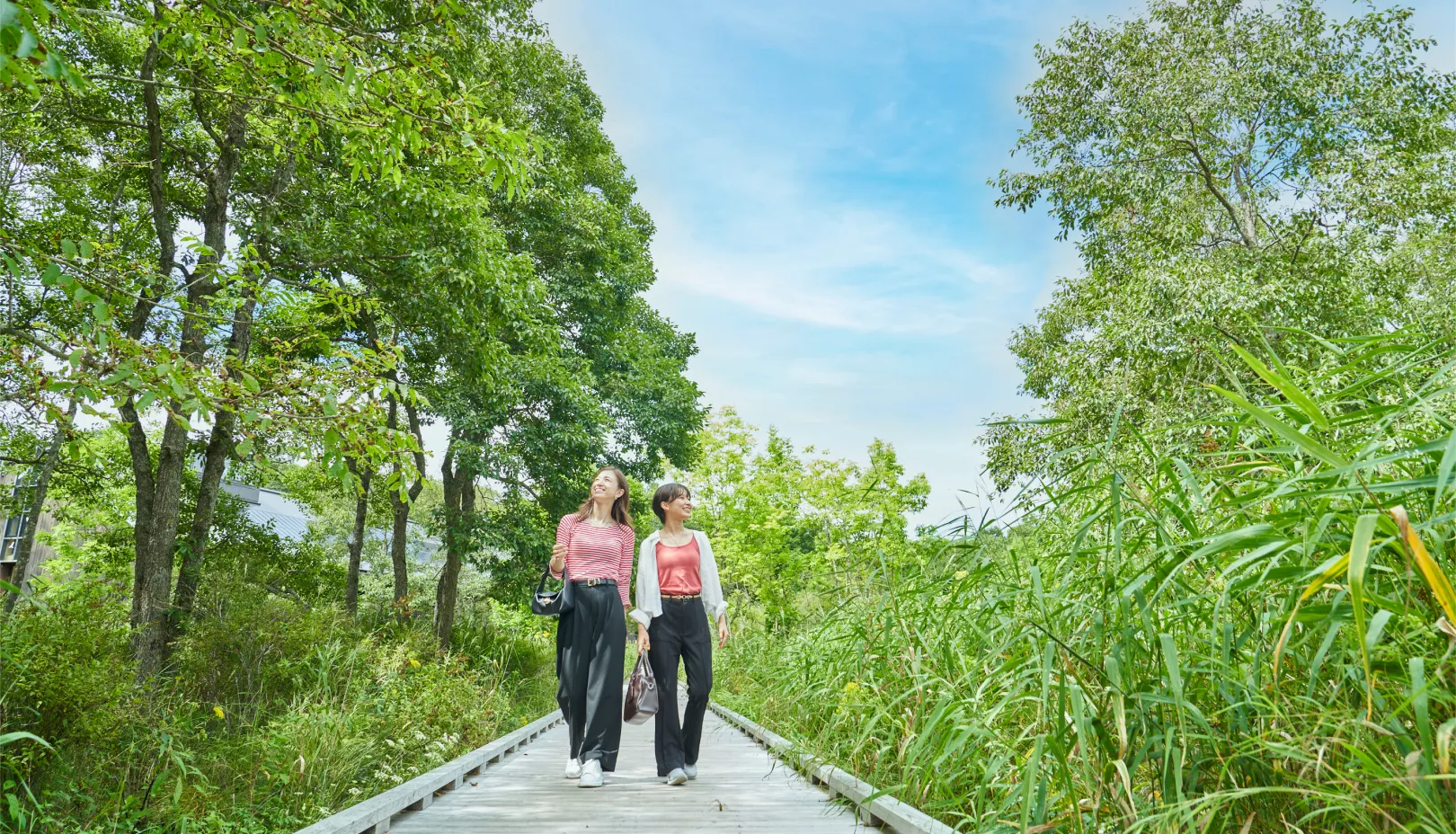 涼やかな釧路で楽しむ夏の避暑旅