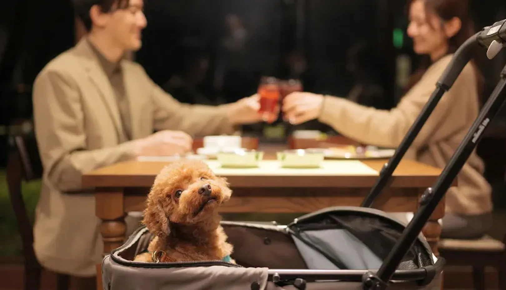 嬬恋プリンスホテル公式Webサイトより「愛犬と一緒に食事を楽しめるドッグフレンドリーラウンジ」