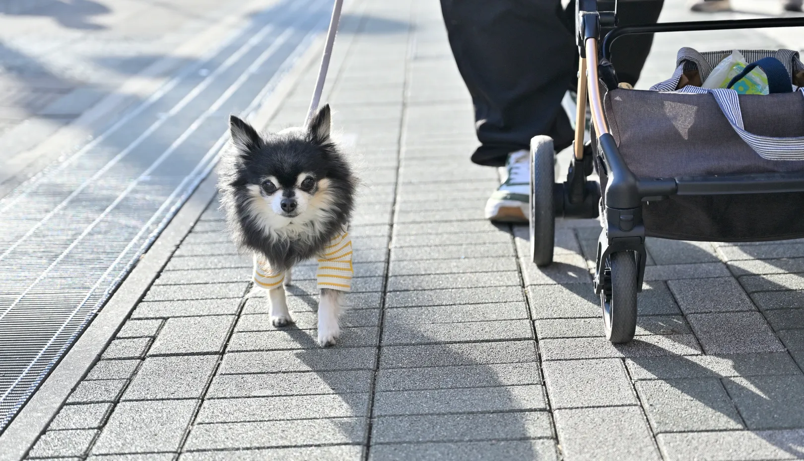 軽井沢・プリンスショッピングプラザは店舗内に入れますか?