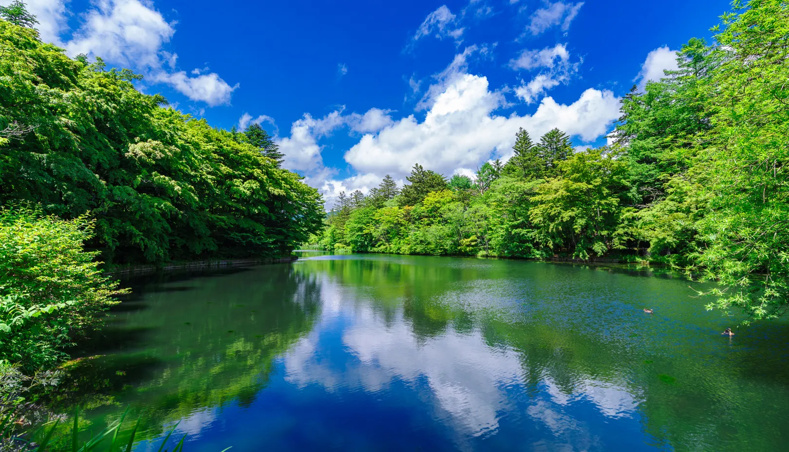 雲場池