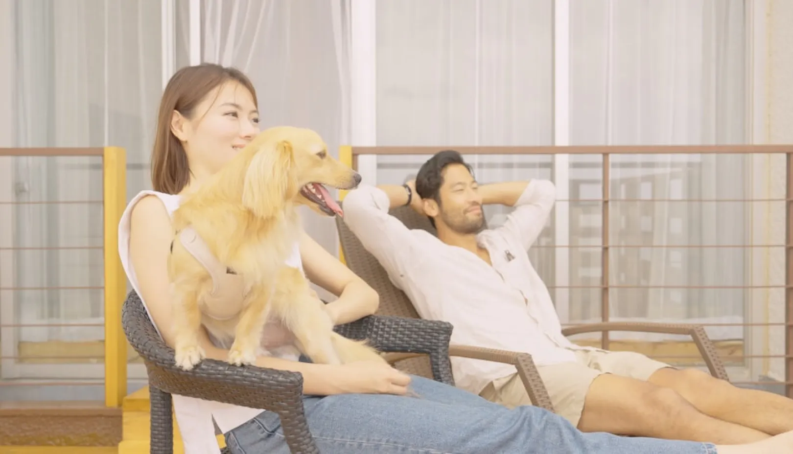 下田プリンスホテル公式Webサイトより「海を望むテラス席で愛犬と過ごす様子」