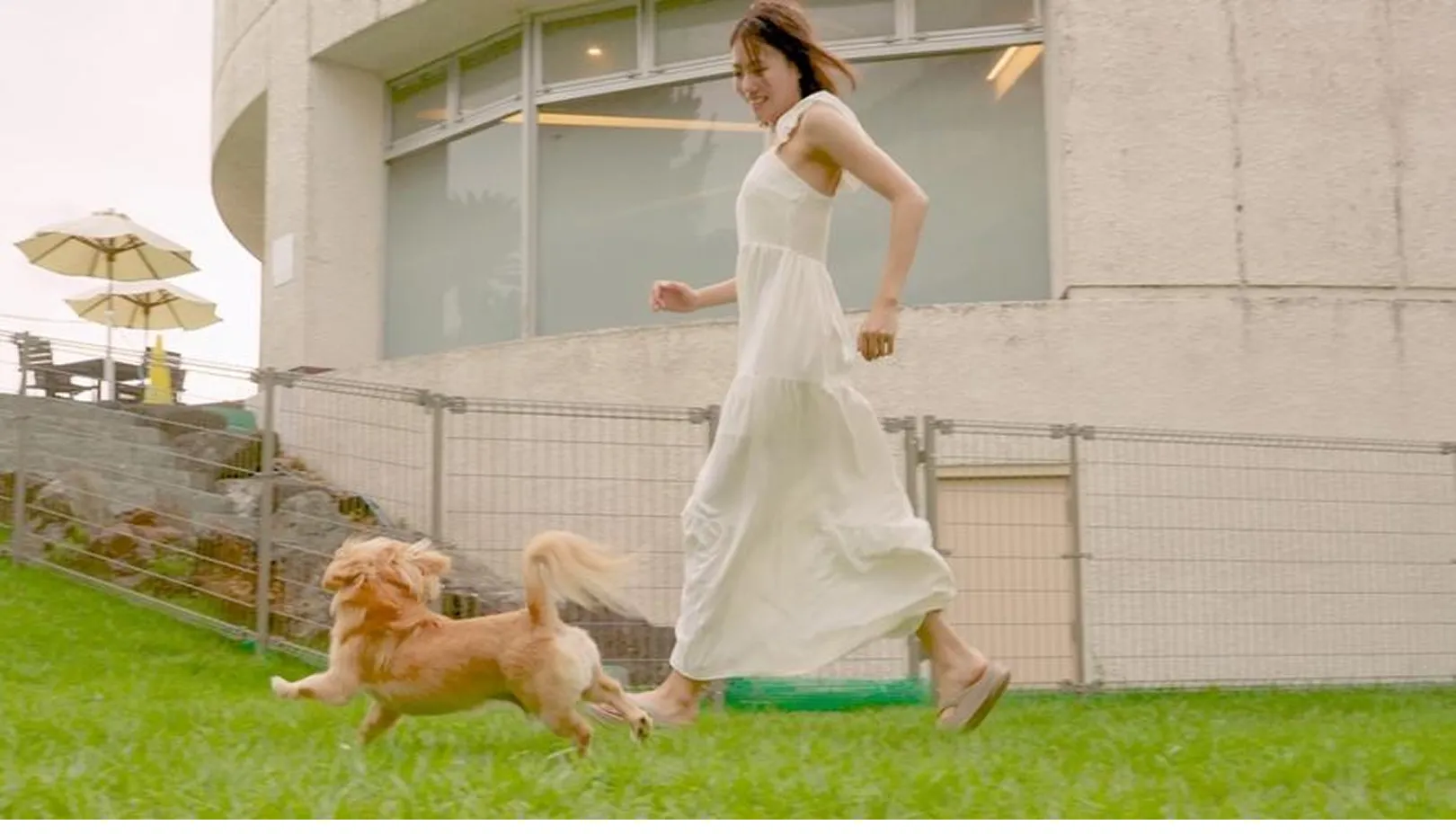 下田プリンスホテル公式Webサイトより「愛犬の足を洗えるシャワースペース」