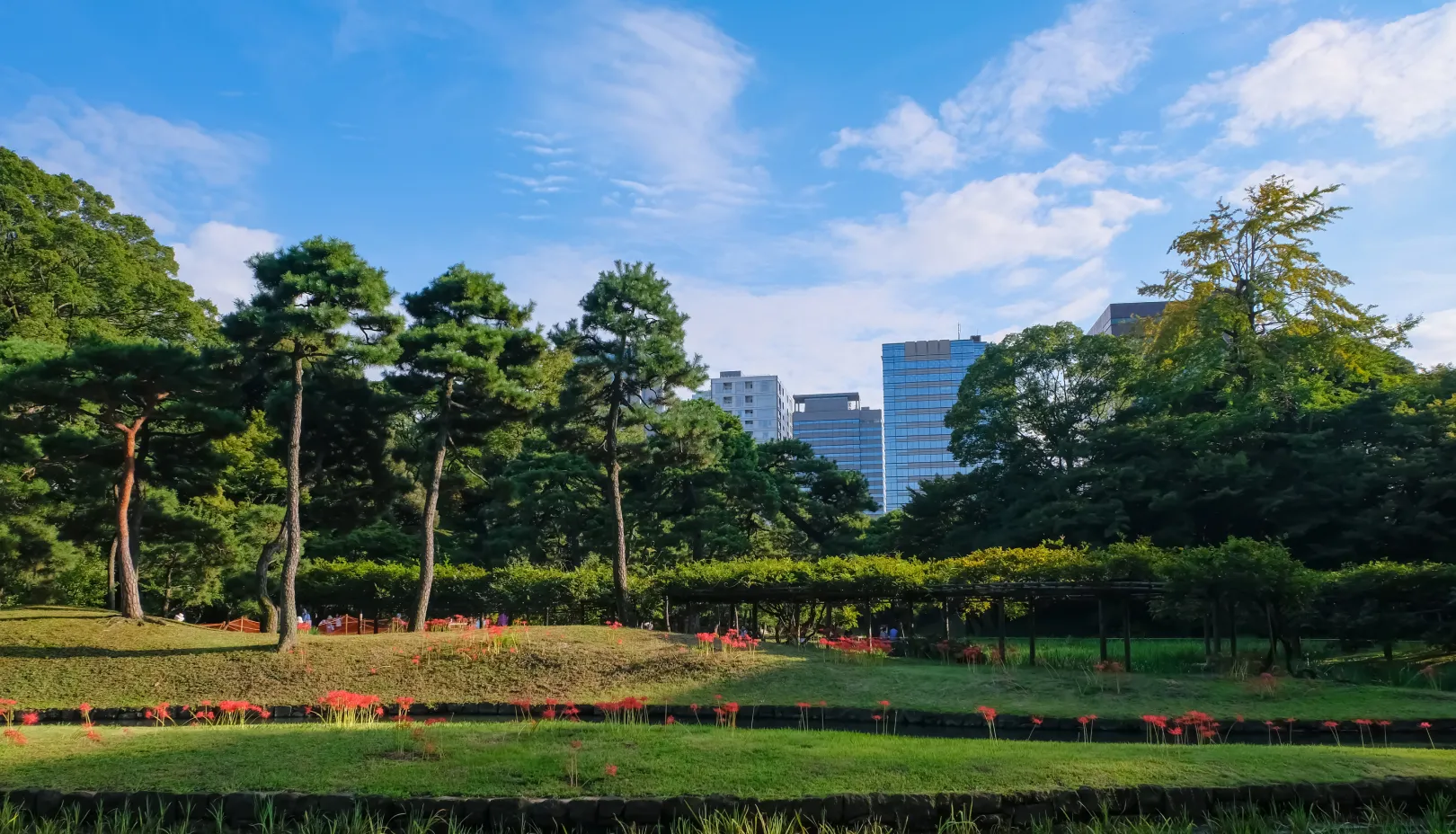 PIXTAより「小石川後楽園の日本庭園に咲く彼岸花」