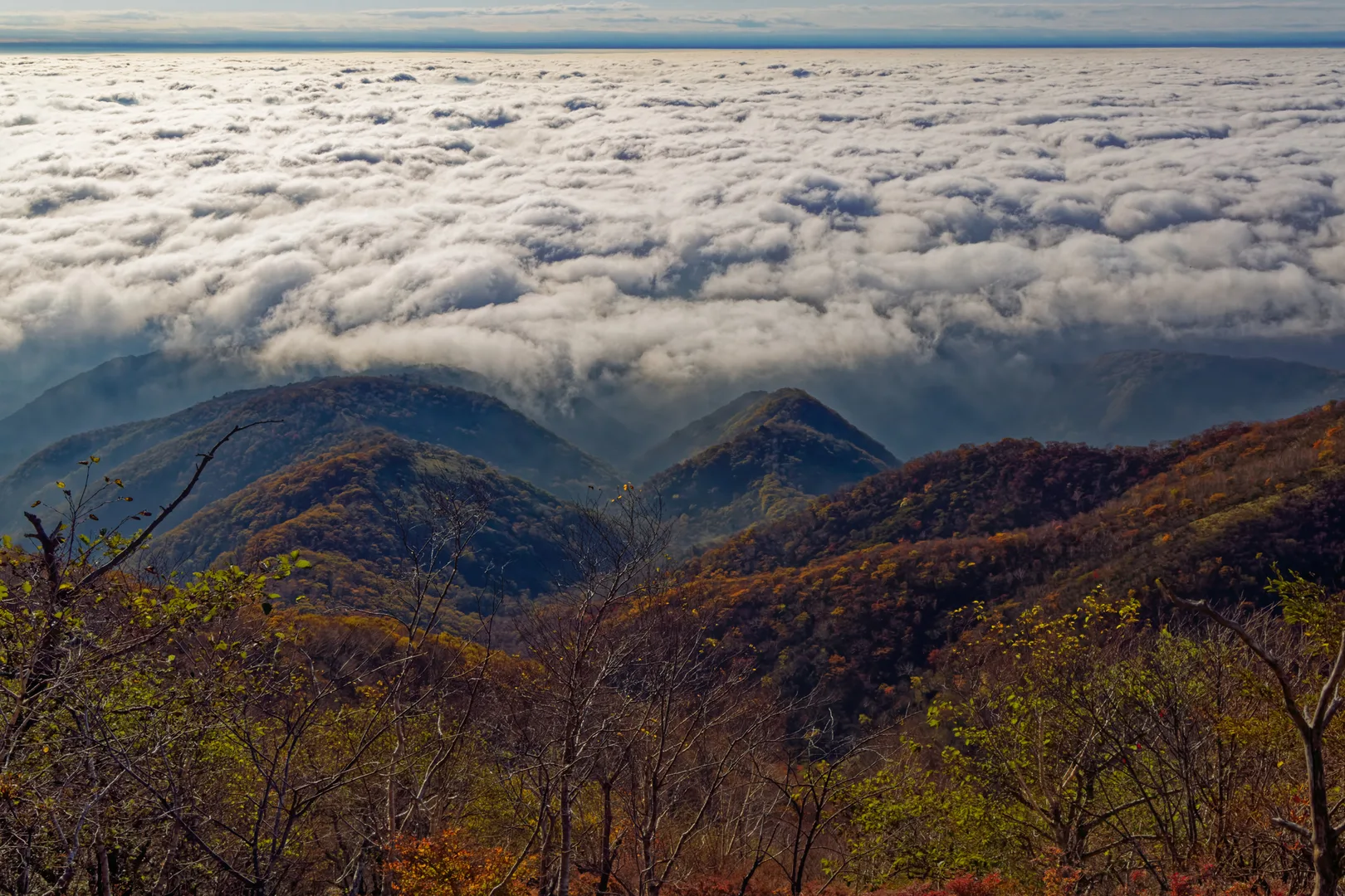 PIXTAより「紅葉の赤城山・黒檜山から望む朝の雲海」