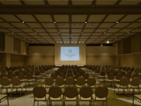 国際会議スタイル