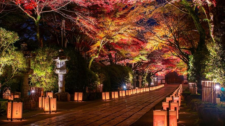 源氏物語が起筆されたとされる石山寺にて「あたら夜もみじ」を鑑賞