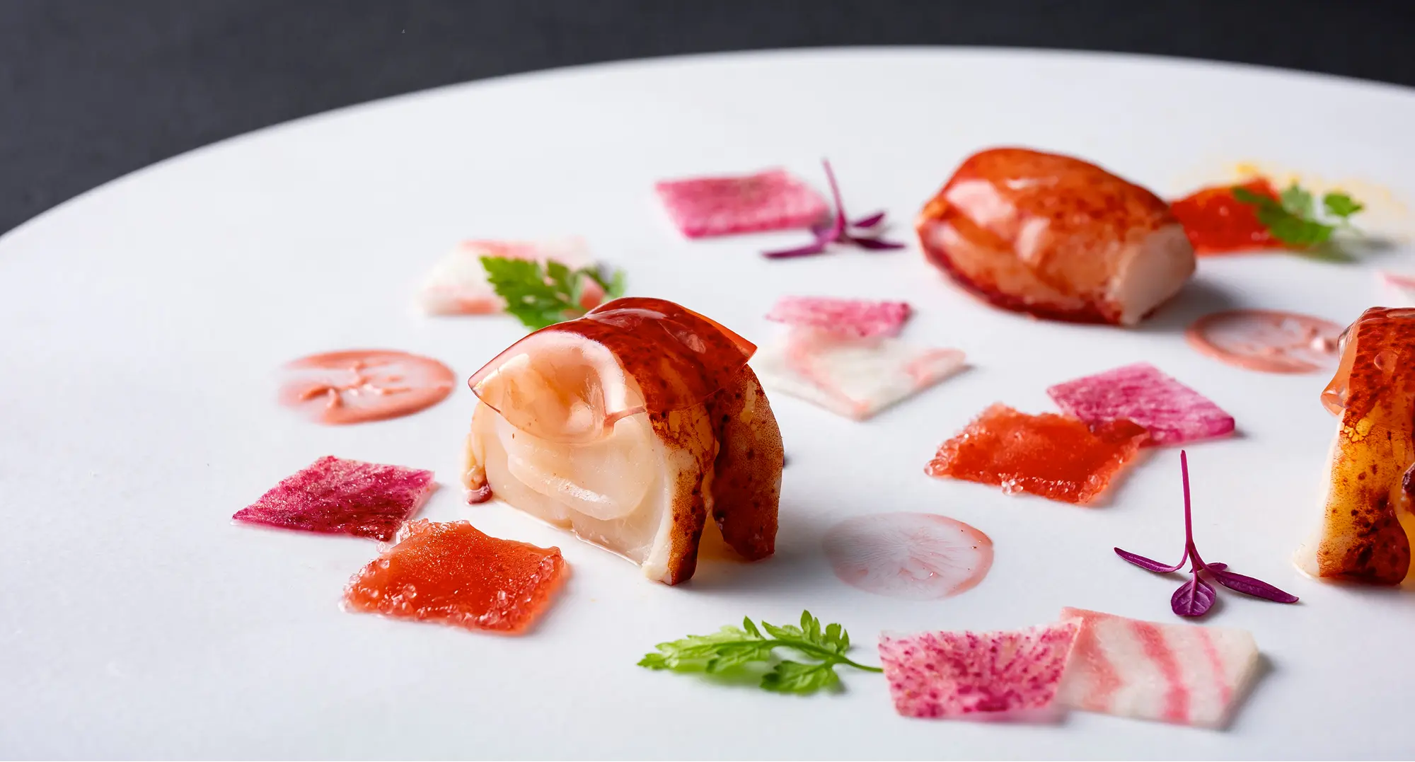 Sky Bar ＆ Dining Stellar Garden × クロスチーム Couleurs de Noël
