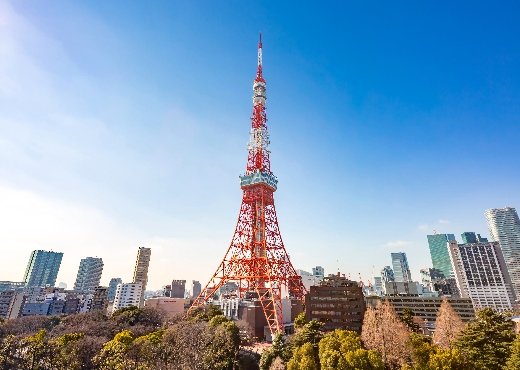 Connecting Shiba Community