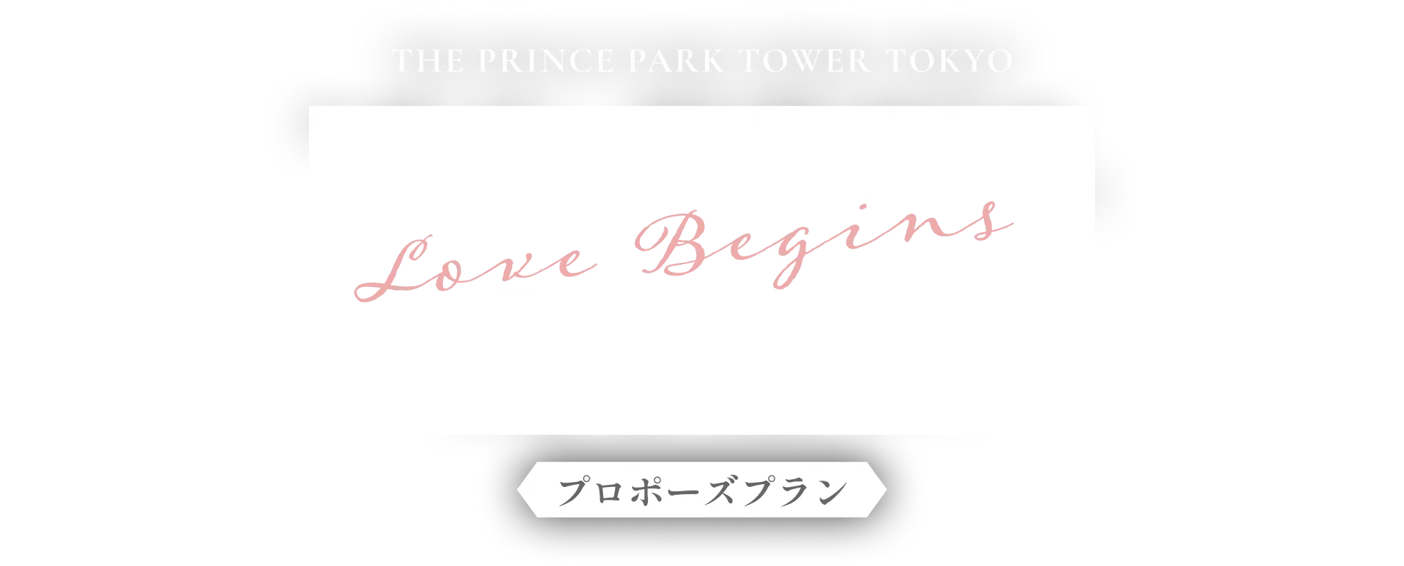 東京の特等席で、愛を贈る
