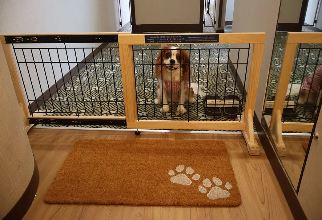 犬用ケージやベッド、フードボウルなどのアメニティも充実。飛び出し防止柵を備え付けております。